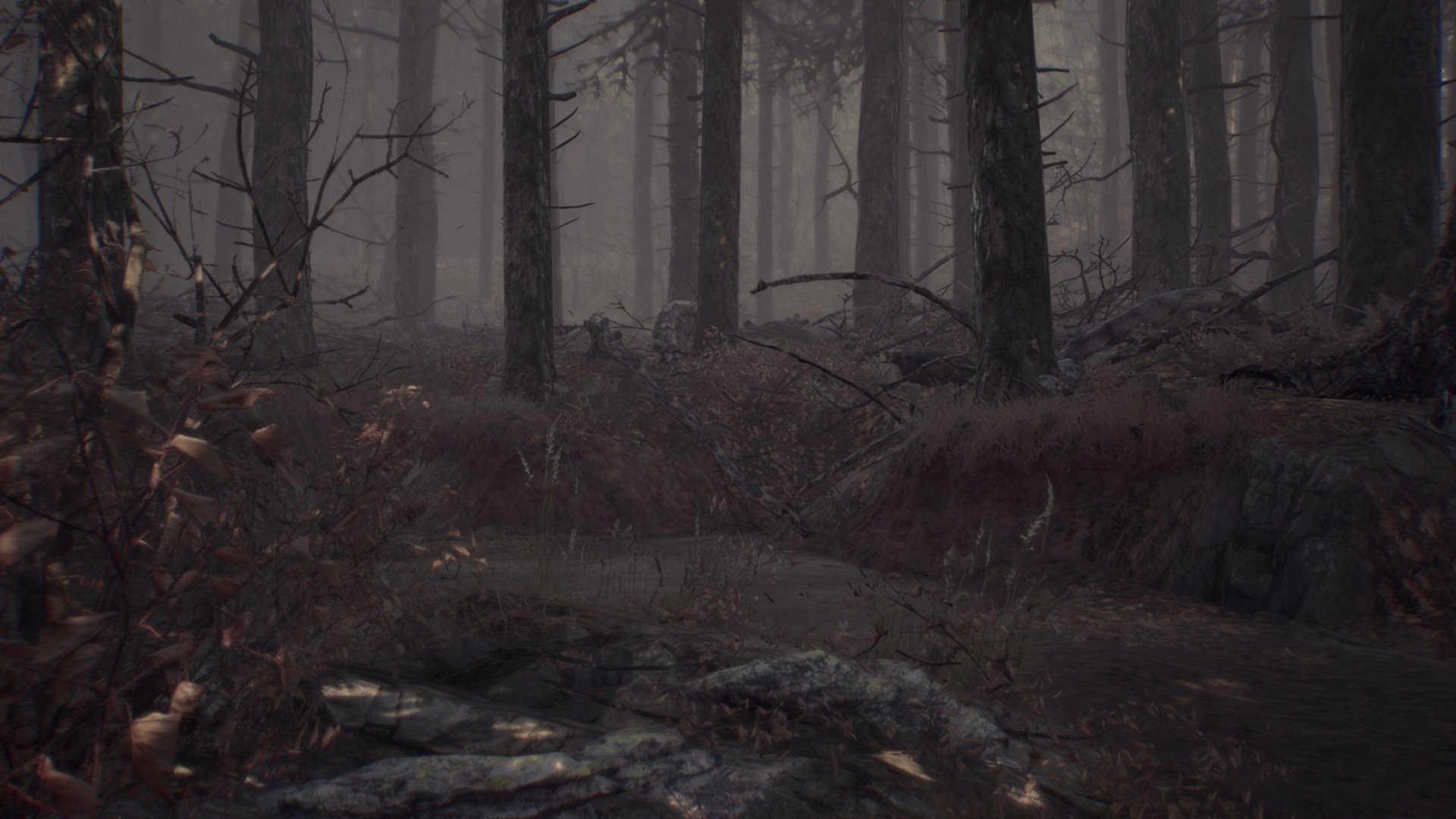 Blair Witch - Imagen 13